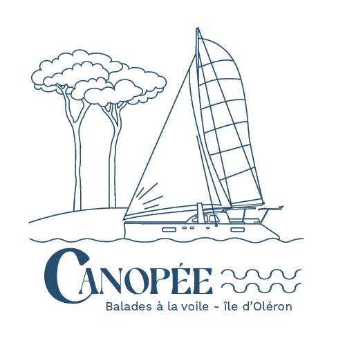 Logo Canopée Catamaran ile d'Oléron