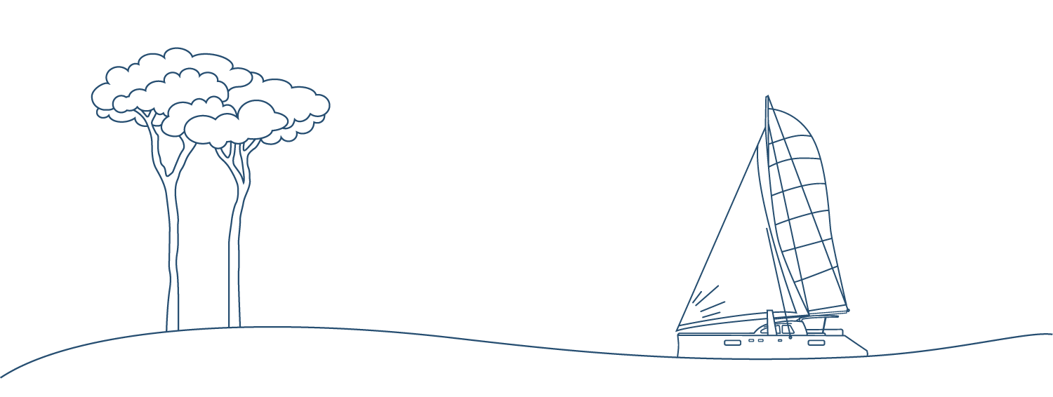 Image décorative Canopée mentions légales